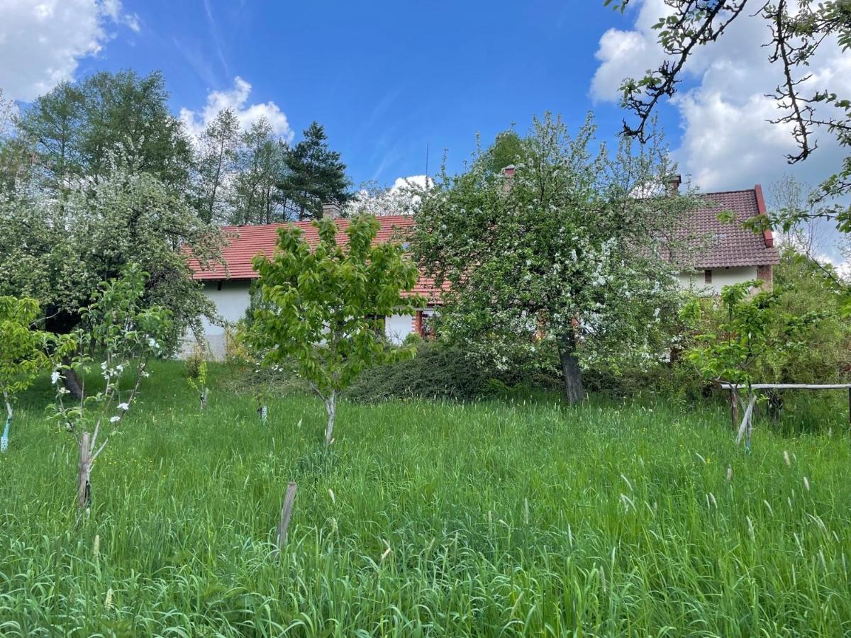 Hlinne V Orlickych Horach Dobré Exteriör bild